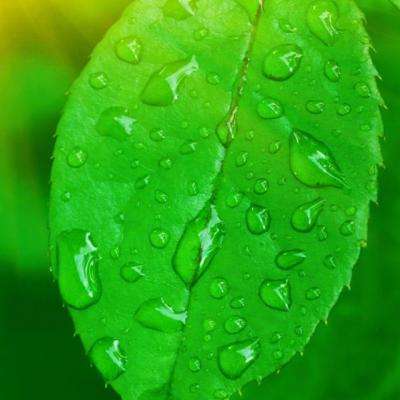 半岛官方体育网页登录